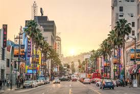 sunset street with palm trees